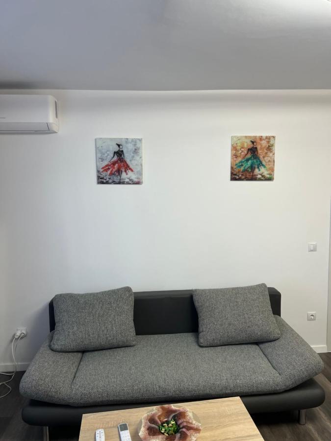 Cozy Residence Сибиу Екстериор снимка
