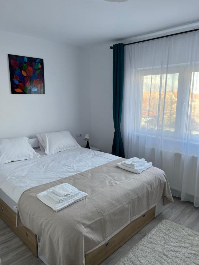 Cozy Residence Сибиу Екстериор снимка