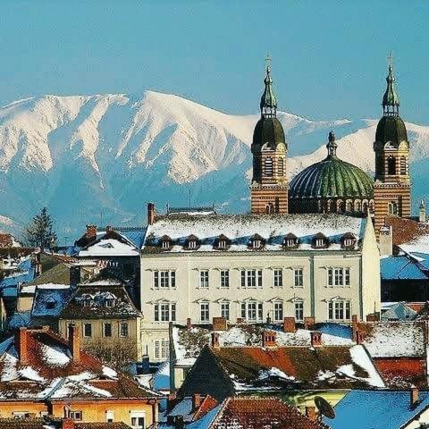 Cozy Residence Сибиу Екстериор снимка