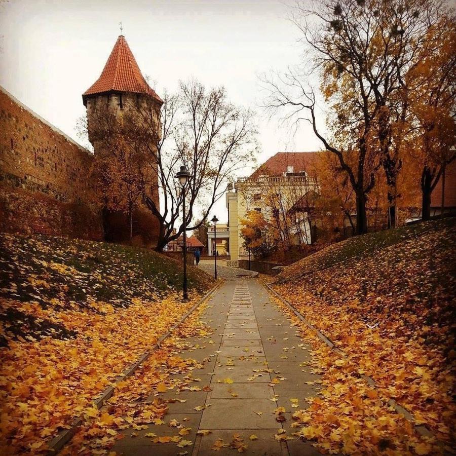 Cozy Residence Сибиу Екстериор снимка